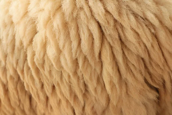 Close Fleece Achtergrond — Stockfoto