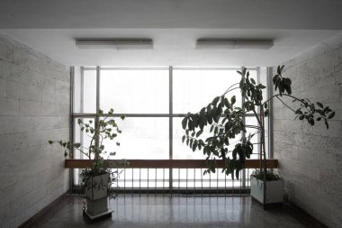 Ön planda saksı bitkileri olan, pencerenin dışında beyaz bir arka planı olan, insansız, modernist bir binada büyük bir pencere..