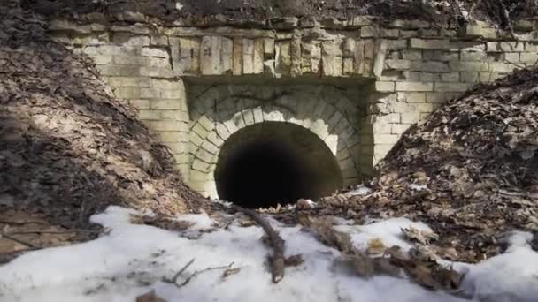화창 한 날 숲 속의 버려진 어두운 벽돌 터널로 들어가는 입구. — 비디오