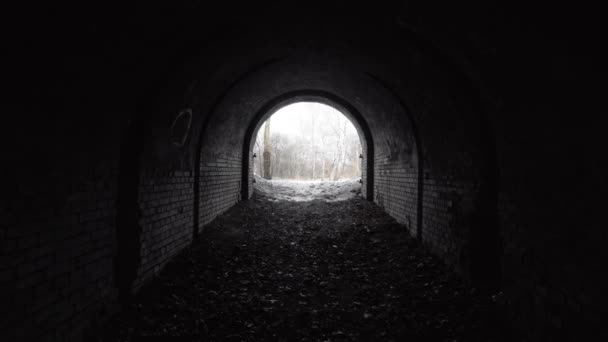 Exit from the old abandoned brick arch tunnel of the 19th century fortification in the woods. — Stock Video
