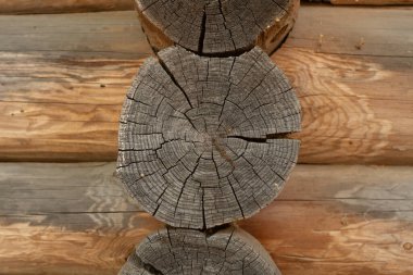 Close view of weathered log with radial cracks and wood grain.