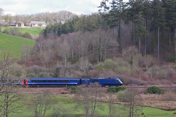Train interurbain entrant dans la forêt d'Eggesford dans le Devon au Royaume-Uni — Photo