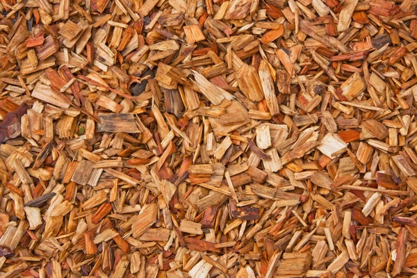 地面カバーとして散在する木材チップ英国 — ストック写真