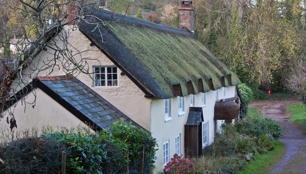 Row of thatched cottages — Stock Photo, Image