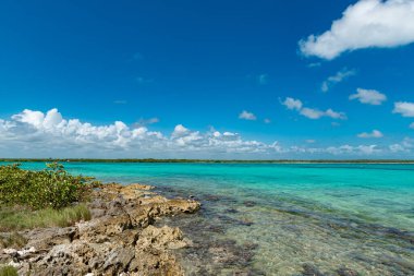 Tulum, Meksika 'da ıssız bir sahil.