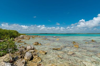 Tulum, Meksika 'da ıssız bir sahil.