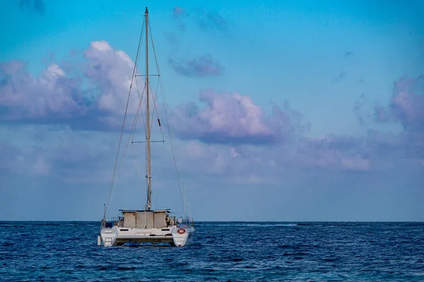 Meksika 'da Puerto Morelos Denizi' nde motorlu tur teknesi