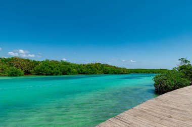 Punta Nizuc, Cancun, Meksika 'da denize bağlanan nehir.