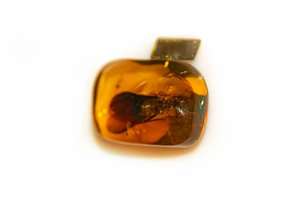 Amber Peça Única México — Fotografia de Stock