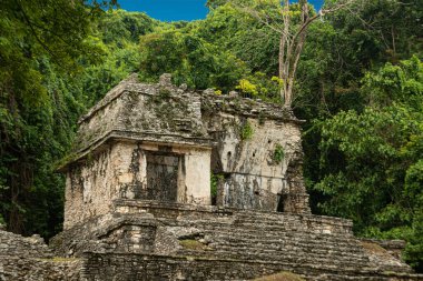 Palenque, Chiapas ve Meksika 'nın antik kalıntıları.