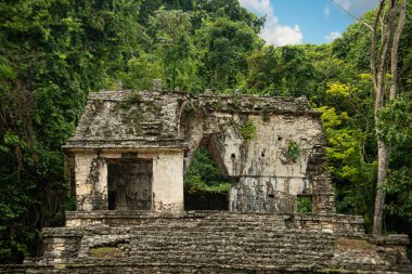 Palenque, Chiapas ve Meksika 'nın antik kalıntıları.