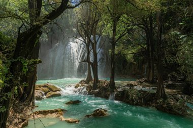 Meksika, Chiapas 'ta bulunan melek kanadı şelaleleri.
