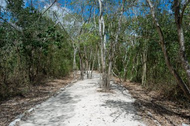 Antik Maya beyaz yol keskisi, Ek Balam, Meksika.