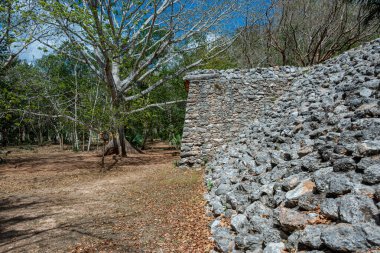 Antik Maya taş merdivenleri Ek Balam, Meksika.