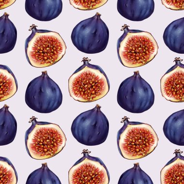 İncir kesimi, üreme eskizi, Raster illüstrasyonu.