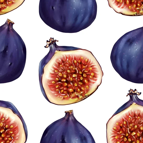 İncir kesimi, üreme eskizi, Raster illüstrasyonu.