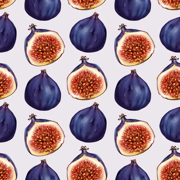 İncir kesimi, üreme eskizi, Raster illüstrasyonu.