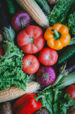 Sebze ve bitkilerin karışımı koyu bir sırt, Hasat