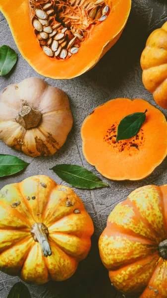 Pompoensoep Een Grijze Achtergrond Met Pompoenen Herfstsfeer Bovenaanzicht Selectieve Focus — Stockfoto