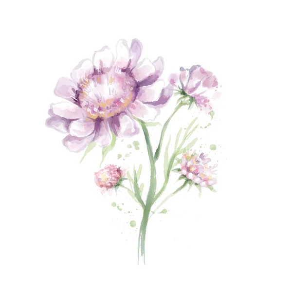 Acuarela Flores Rosa Estilización Ilustración Aislado — Foto de Stock