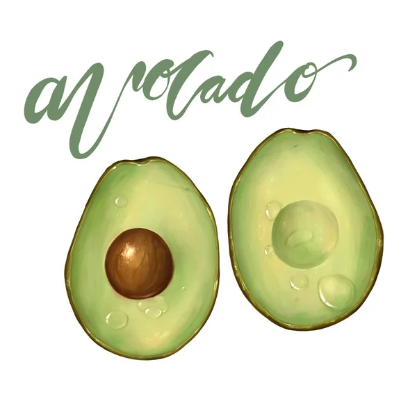 Avocado Schizzo Procreare Illustrazione Raster Isolato Bianco — Foto Stock