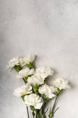 Gri arka planda beyaz karanfil demeti