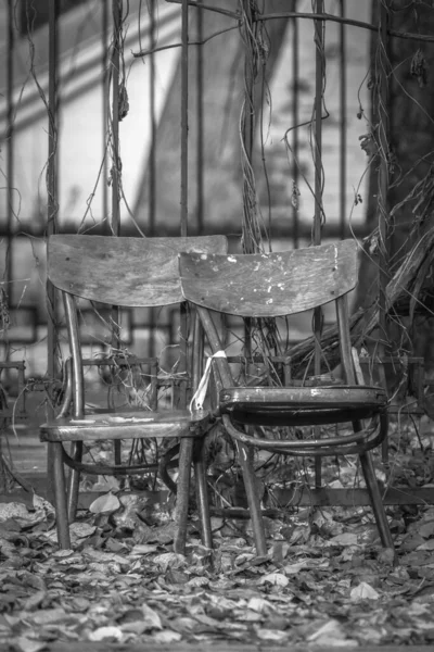 부서진 의자들 헝겊들 가을의 야생화 물품을 외로움과 노령의 상징이다 공허감과 — 스톡 사진