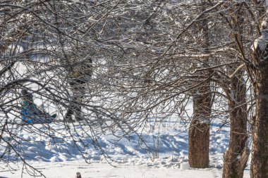 Baba küçük oğlunu kızakla kayıyor. Bekar bir baba. Bilinçli ebeveynlik. Baba ve oğul. Çocuk kayağı. Aile zamanı. Karlı sokak. Kışın şehir parkı. Tatildeki kış aktiviteleri. Mutlu bir çocukluk. Birlikte vakit geçirin. Sağlıklı ilişkiler.