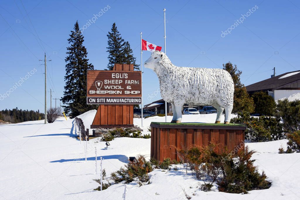 Minnitaki, Canada  April 7. 2025 Egli's Sheep Farm and Wool and Sheepskin Shop in Minnitaki, Canada. They make Fine Wool and Sheepskin Products