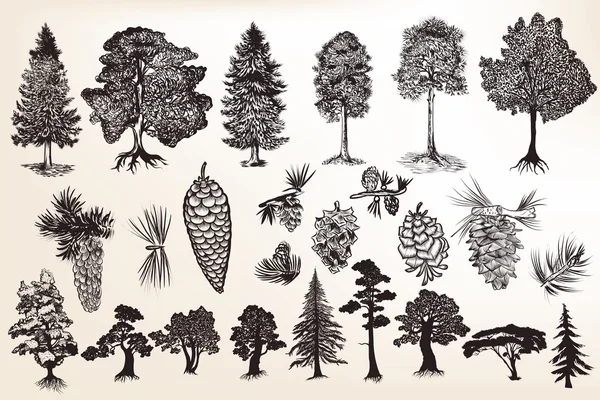 Colección o conjunto de árboles dibujados a mano en estilo grabado — Vector de stock