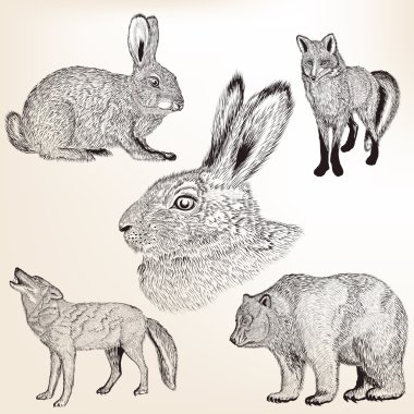 Vektör kümesi oyulmuş vintage styl elle çizilmiş vektör hayvanlarda