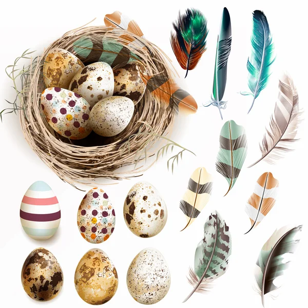 Vector collection with Easter eggs bird nest feathers in vintage — Stock Vector