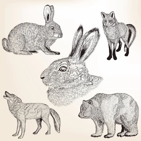 Conjunto vectorial de animales vectoriales dibujados a mano en estilo vintage grabado — Archivo Imágenes Vectoriales