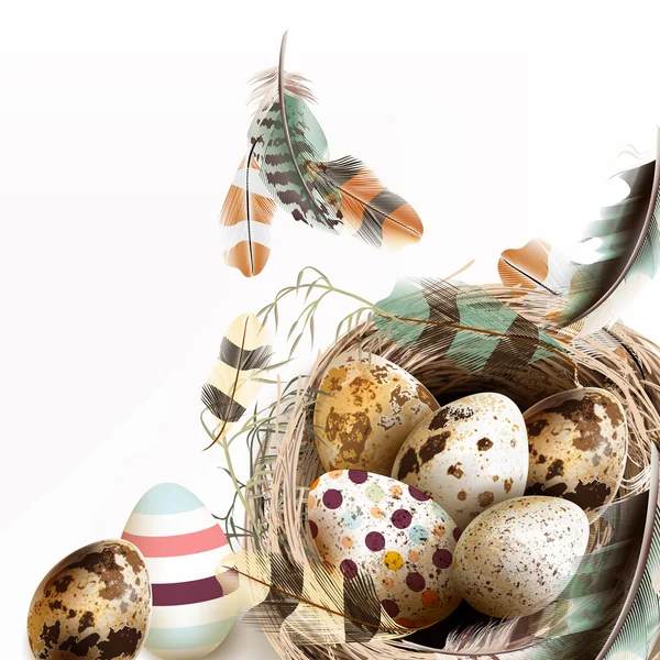 Vektoros illusztráció húsvéti tojás madár fészek vinta tollak — Stock Vector