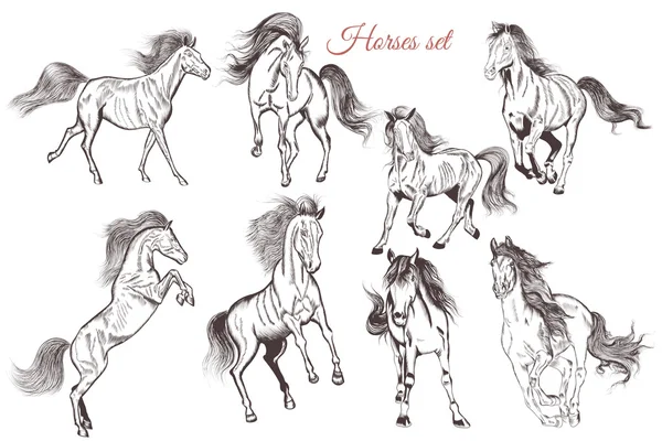 Vector set of detailed hand drawn horses for design — Stock Vector