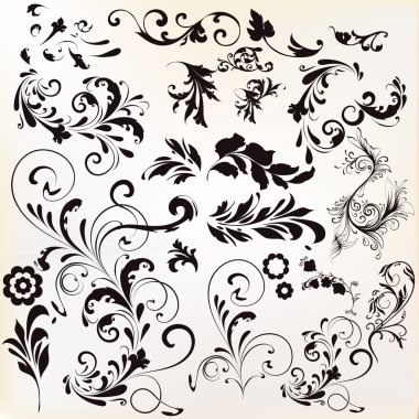 vektör tasarımı için kaligrafi öğeleri kümesi. Kaligrafi vec