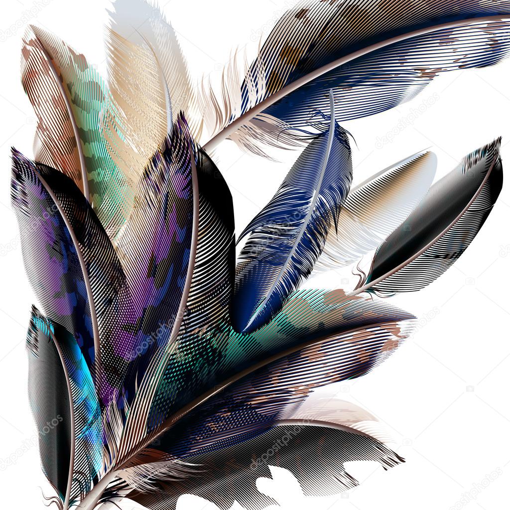 Background with feathers in realistic style