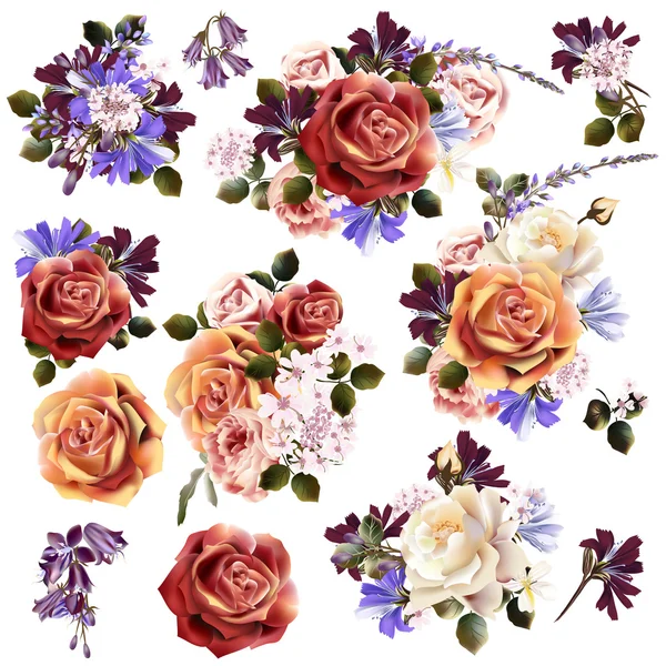 Colección o conjunto de flores vectoriales realistas para el diseño — Archivo Imágenes Vectoriales
