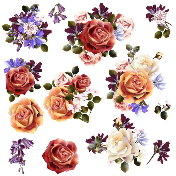 Beautiful collection of vector rose flowers — Stock Vector