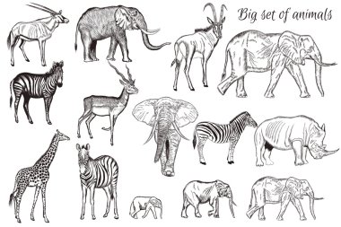 Elle çizilmiş vektör kümesi hayvanlarıyla ayrıntılı