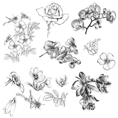 Vektör topluluğu el oyulmuş styl çizilmiş çiçek öğeleri