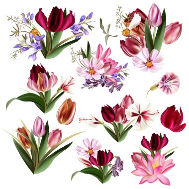 Gerçekçi pastel çiçek koleksiyonu