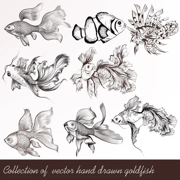 Vintage tarzı çizilmiş goldfish telkari vektör kümesi