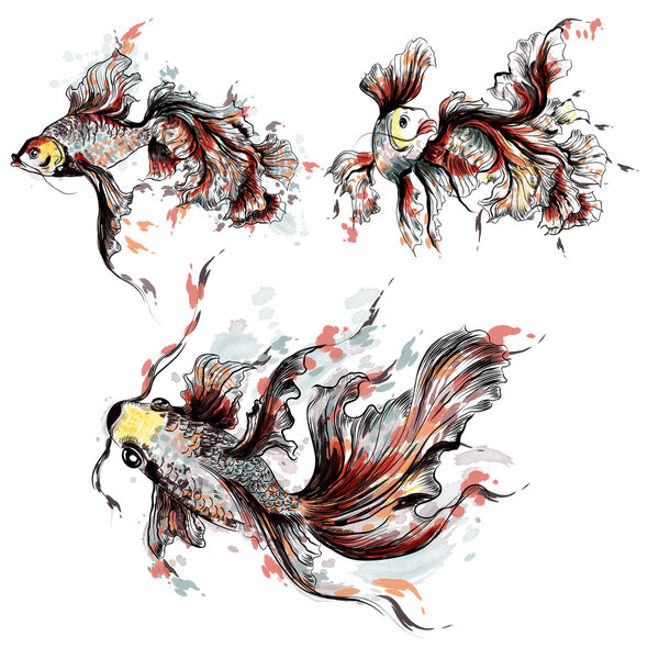 Vector hand drawn goldfish in watercolor style painted by spots