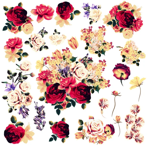 Hermosa colección de flores de rosas vector — Vector de stock