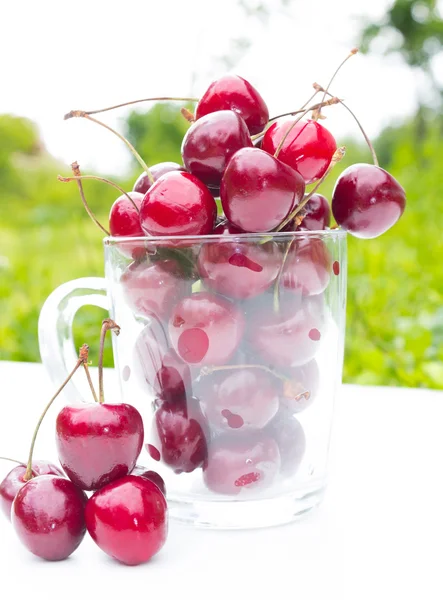 Background with cherry berries in a cup — Stock Photo, Image