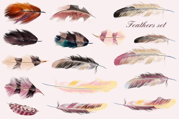 Colección de plumas vectoriales en colores suaves rosados. illus de moda — Vector de stock
