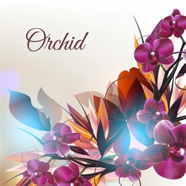 Achtergrond met vector orchid bloemen — Stockvector