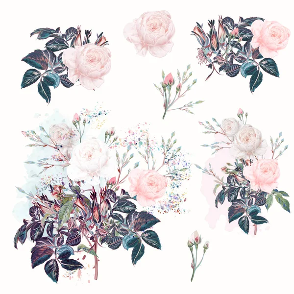 Hermoso Conjunto Vectorial Flores Rosas Estilo Acuarela — Archivo Imágenes Vectoriales