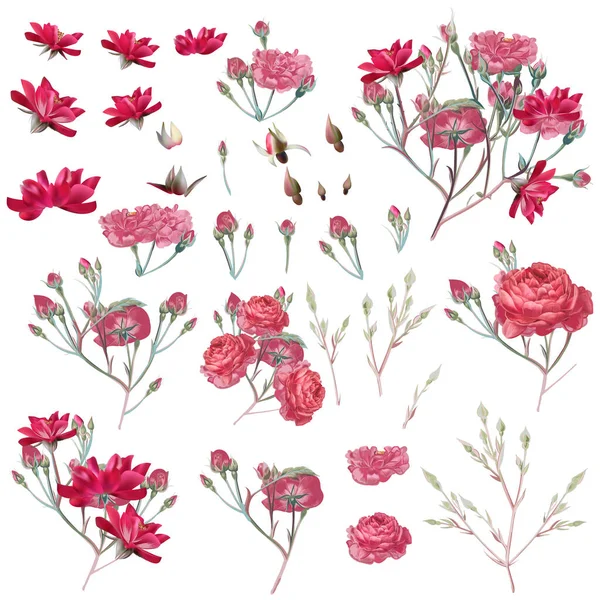 Коллекция Векторных Розовых Цветов Винтажном Стиле — стоковый вектор